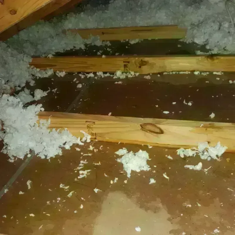 Attic Water Damage in Flower Hill, NY